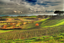 Radfahren und Golf in der Region Volterra Toskana
